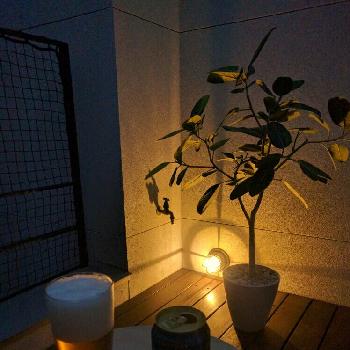 Photo by アデ太郎さん