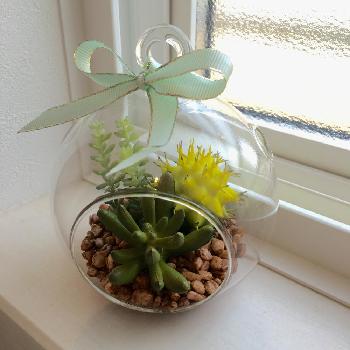 Photo by 美月さん