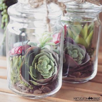 Photo by HATOGAYA BASEさん@GreenSnap