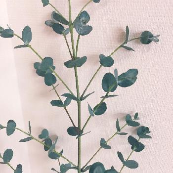 Photo by ナオナオさん