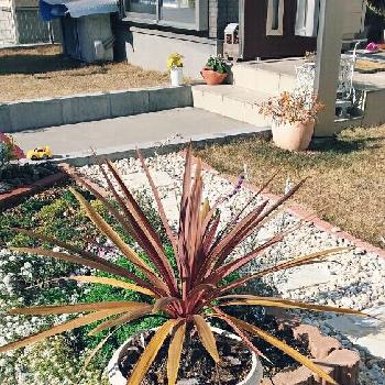 Photo by メロンさん