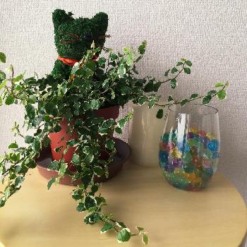 Photo by 京都みやんさん