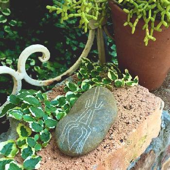 Photo by くるみ*さん