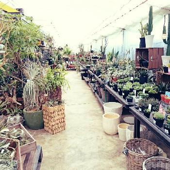 Photo by 38BASEさん