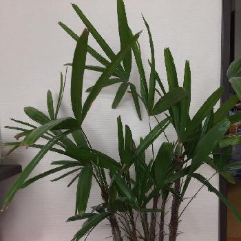 Photo by Rei♡さん