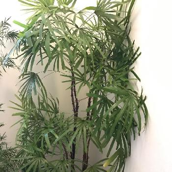 Photo by ぶーちゃんさん