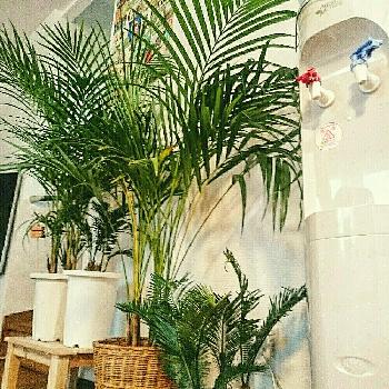 Photo by 38BASEさん