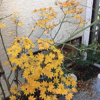 Photo by のぎさん