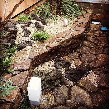 Photo by s.masakingさん