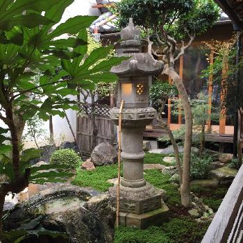 Photo by 虹の玉さん