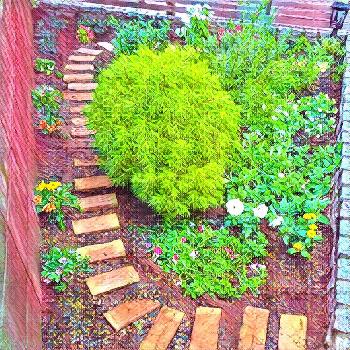 Photo by のぎさん