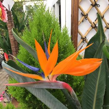 Photo by もしゃさん