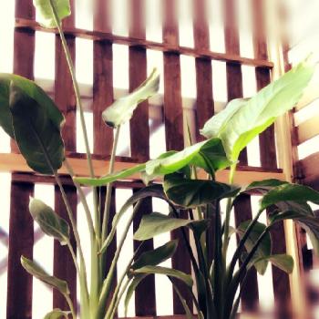 Photo by vividさん