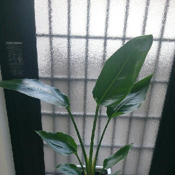 Photo by かーさんさん