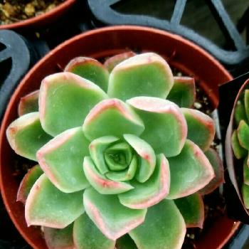 Photo by オガチャンさん