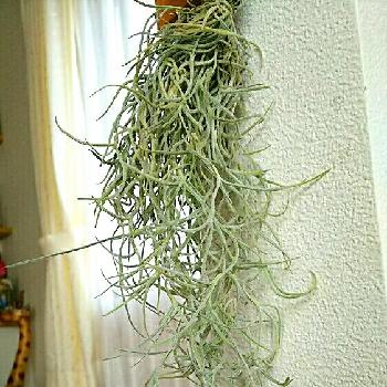 Photo by ひーさん