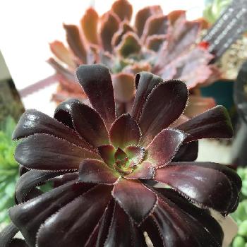 Photo by ふわふわさん