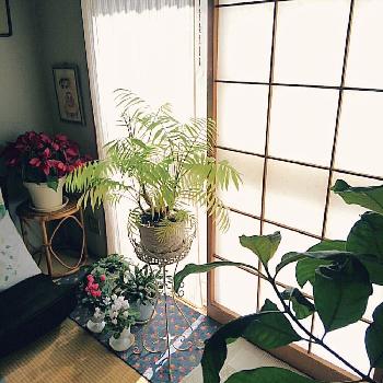 Photo by fresh -sumireさん