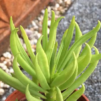 Photo by ☆のん☆さん