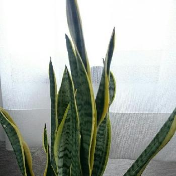 Photo by ワタナベさん