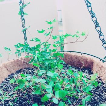 Photo by spicyさん