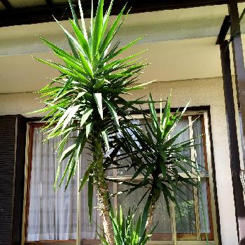 Photo by さんぞうさん