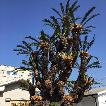 Photo by niko.さん