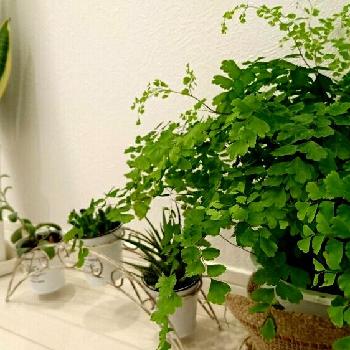 Photo by Tsukasaさん