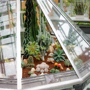 Photo by ぽかぽかなおさん