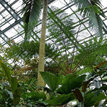 Photo by ぽかぽかなおさん