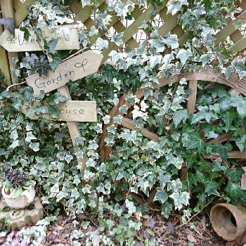 Photo by 819sakuranboさん