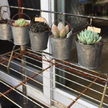 Photo by らならなさん