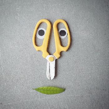 Photo by Blumen Hutteさん