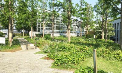 Flowerbiz 株 サカタのタネに行ってきました