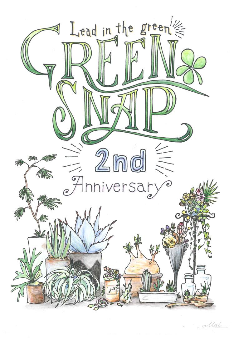 <a href="http://greensnap.jp/my/VERT365MaiLifeDesign" target="_blank">by -mai- (@VERT365MaiLifeDesign)さん@GreenSnap</a>