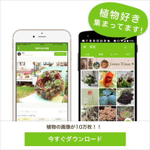 GreenSnapは植物好きの為のアプリです