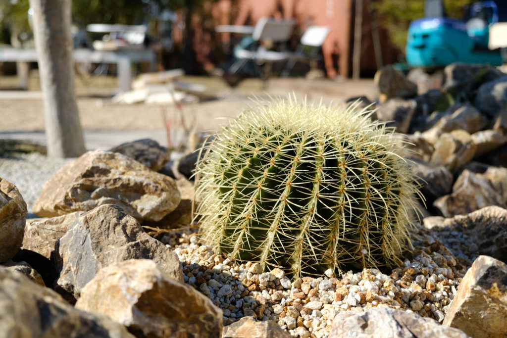 DSCF9884