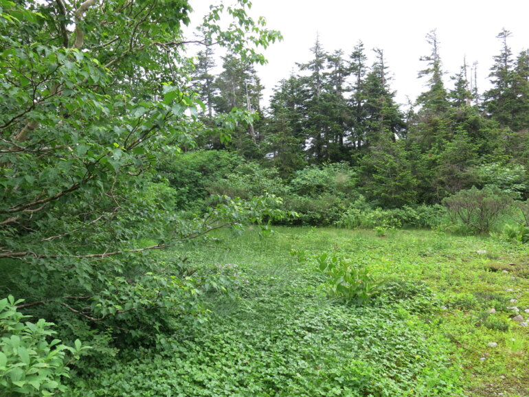 三俣山荘 第一庭園