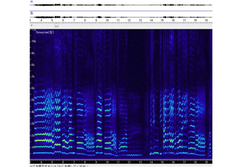 音楽をより深く理解できる