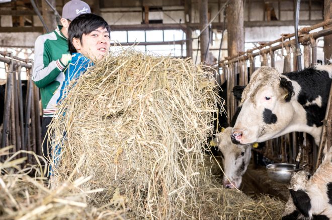 食量に圧巻。山ほど牧草を餌場に敷いた。