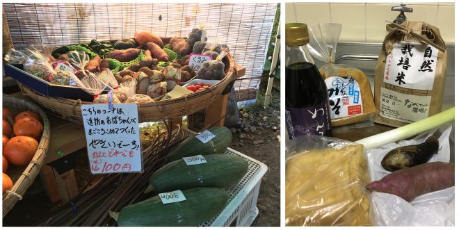 豊かな食材