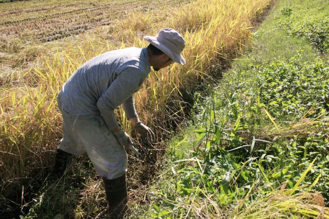 優しくてよそ者を受け入れる懐の深さを持つ南砺に移住検討中の人
