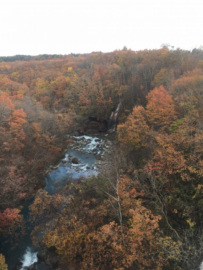 八幡平市の森の大橋からの風景。「森七滝」。紅葉と相まって綺麗!