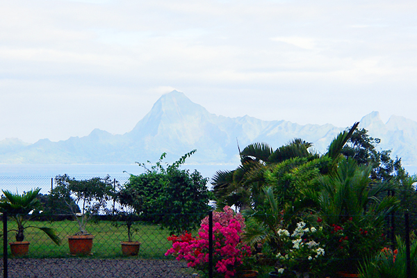 自宅から見える風景