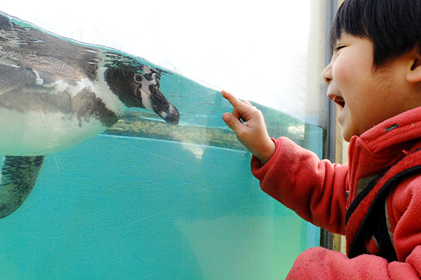 子連れ記者の子とペンギン