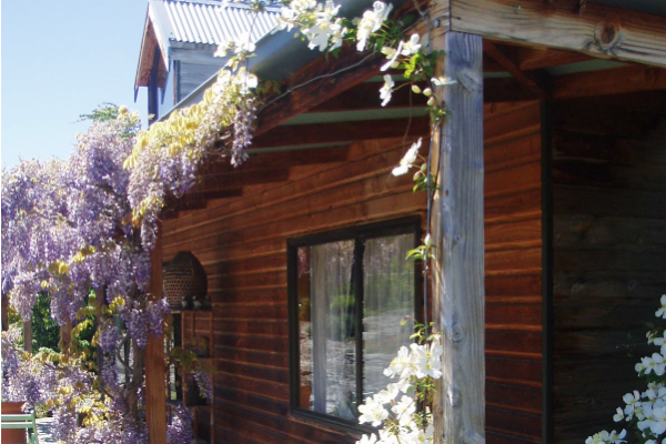 花に囲まれた家