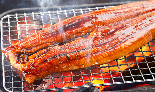 ディナーバイキング｜お食事 ｜ ホテルグリーンプラザ浜名湖