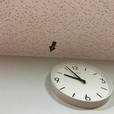 こまつ芸術劇場うららのイメージ写真