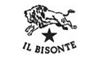 IL BISONTE