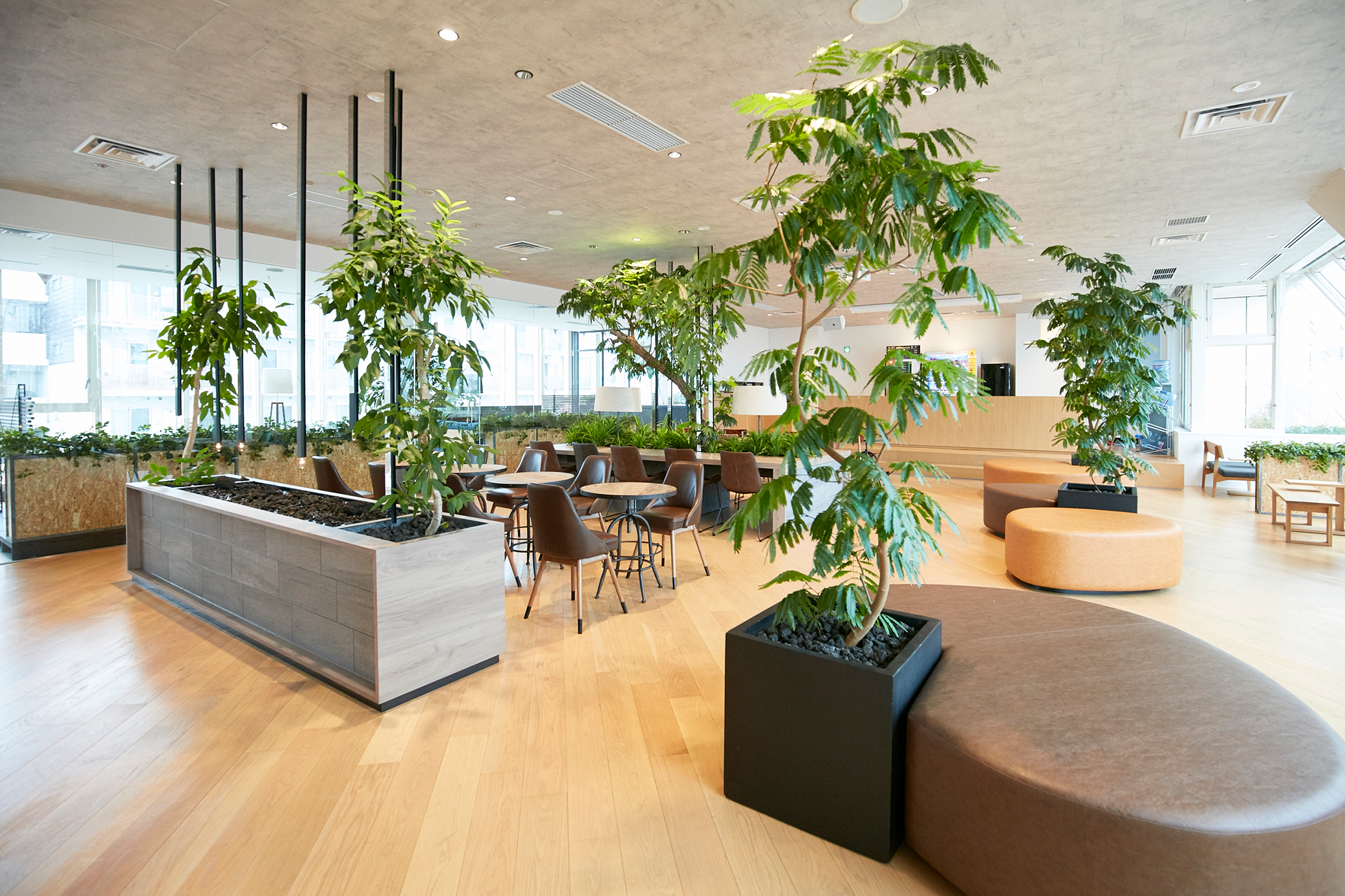 office_image